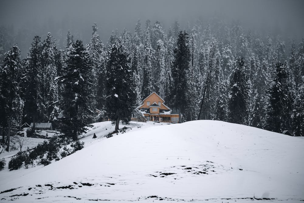 Gulmarg Snow